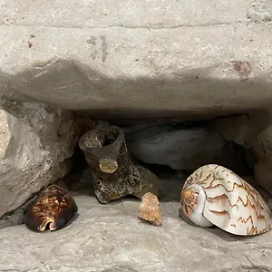 Pundinica Appartement